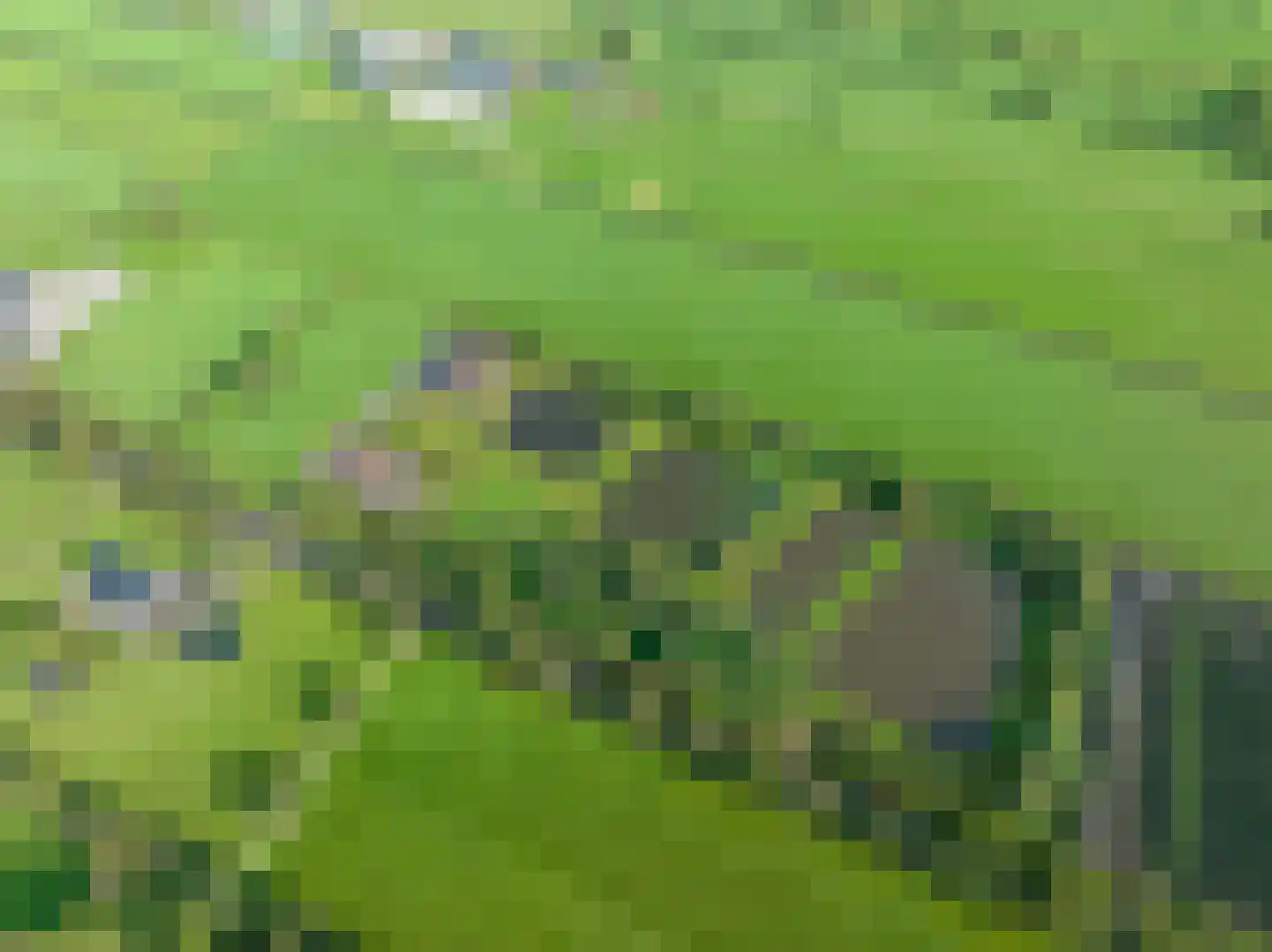 Halbe Wiersemaweg 2 A Niebert thumbnail 78