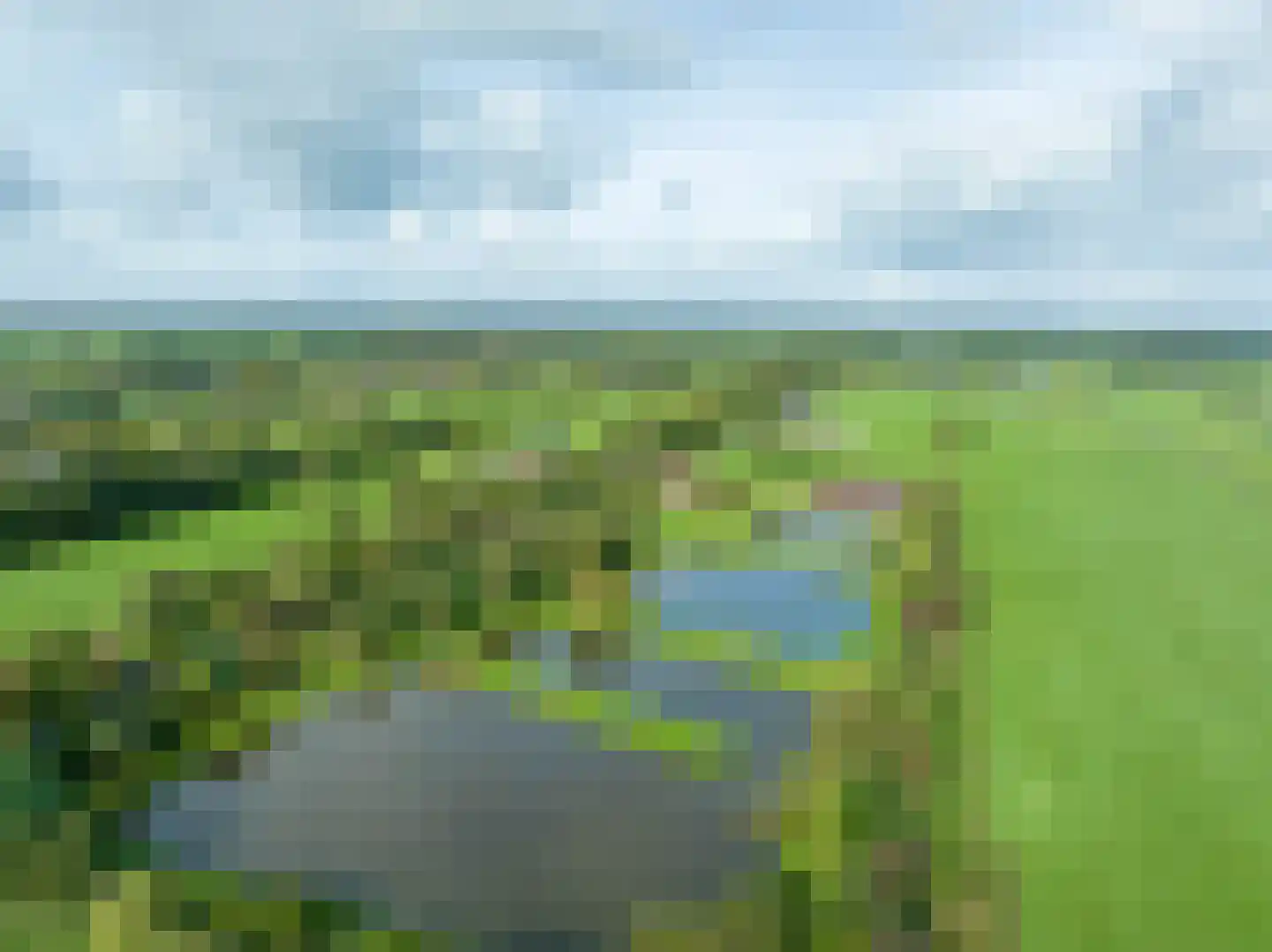 Halbe Wiersemaweg 2 A Niebert thumbnail 79