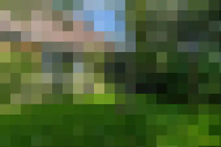 Halbe Wiersemaweg 6 Niebert thumbnail 10