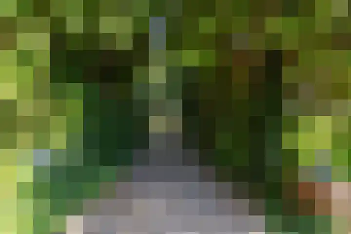 Halbe Wiersemaweg 6 Niebert thumbnail 11