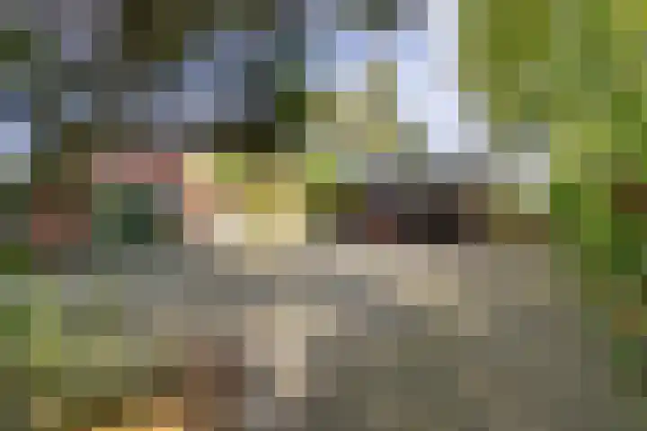 Halbe Wiersemaweg 6 Niebert thumbnail 12
