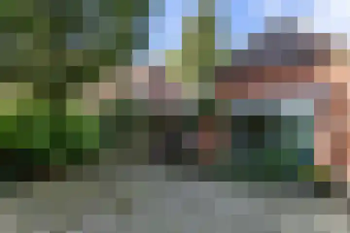 Halbe Wiersemaweg 6 Niebert thumbnail 13