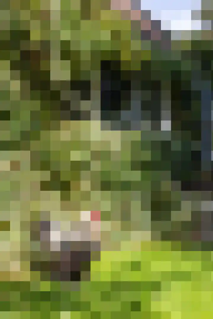 Halbe Wiersemaweg 6 Niebert thumbnail 14