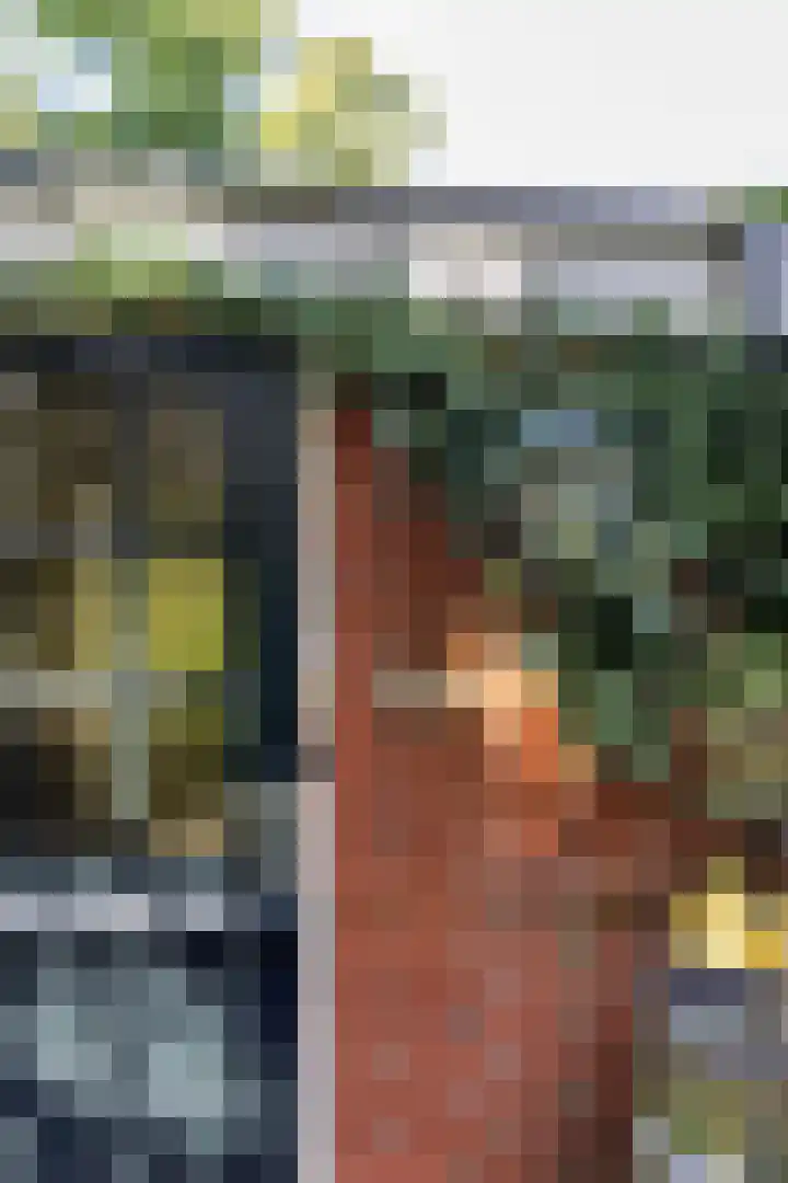 Halbe Wiersemaweg 6 Niebert thumbnail 15