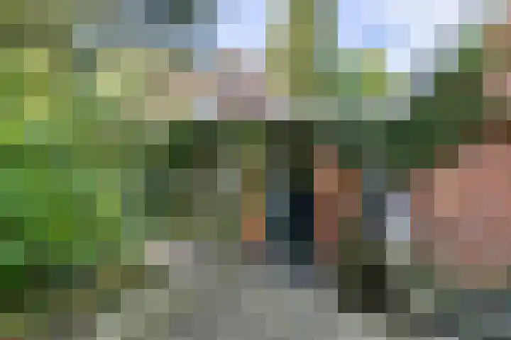 Halbe Wiersemaweg 6 Niebert thumbnail 16