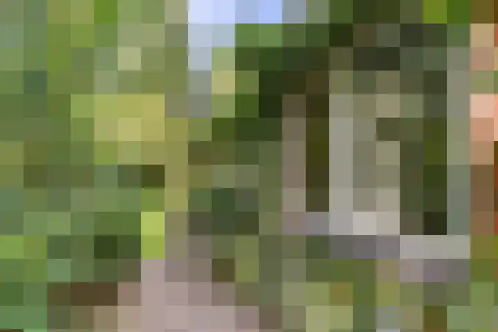 Halbe Wiersemaweg 6 Niebert thumbnail 17