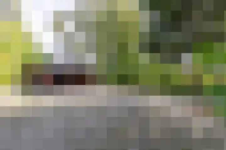 Halbe Wiersemaweg 6 Niebert thumbnail 18