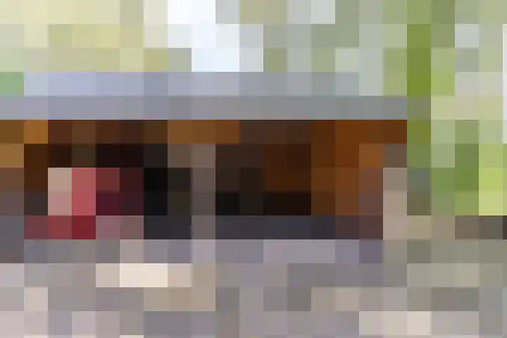 Halbe Wiersemaweg 6 Niebert thumbnail 19