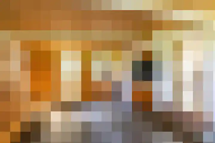 Halbe Wiersemaweg 6 Niebert thumbnail 21