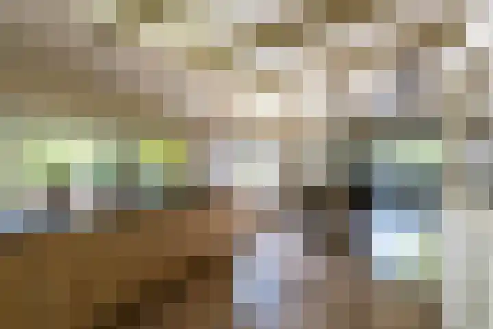 Halbe Wiersemaweg 6 Niebert thumbnail 23