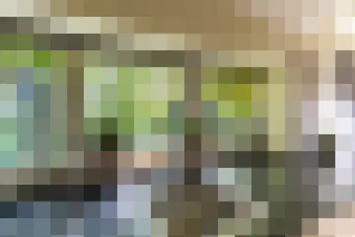 Halbe Wiersemaweg 6 Niebert thumbnail 26