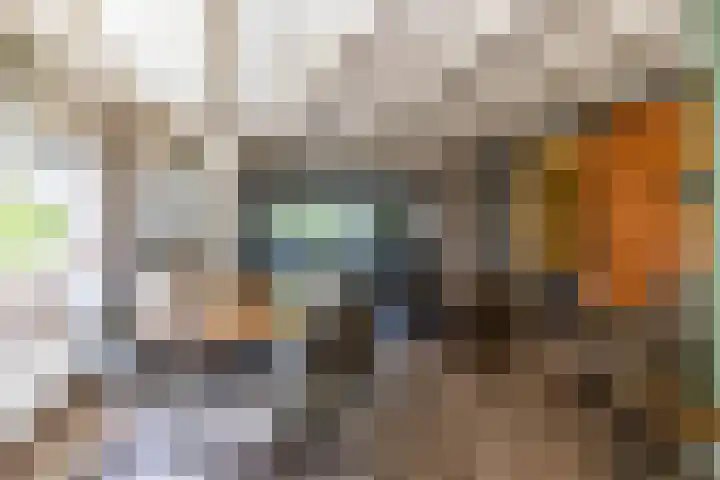 Halbe Wiersemaweg 6 Niebert thumbnail 27