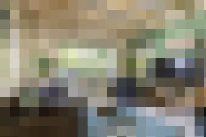 Halbe Wiersemaweg 6 Niebert thumbnail 30