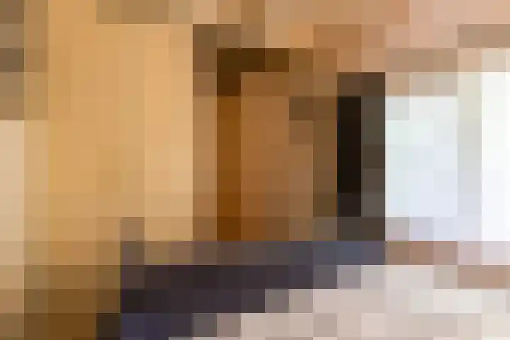 Halbe Wiersemaweg 6 Niebert thumbnail 34
