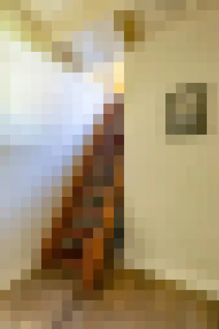 Halbe Wiersemaweg 6 Niebert thumbnail 38