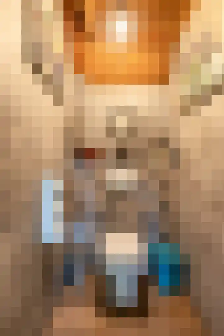 Halbe Wiersemaweg 6 Niebert thumbnail 39