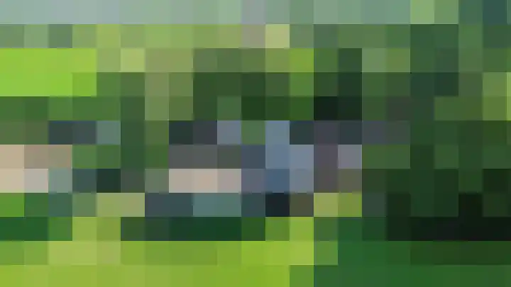 Halbe Wiersemaweg 6 Niebert thumbnail 5