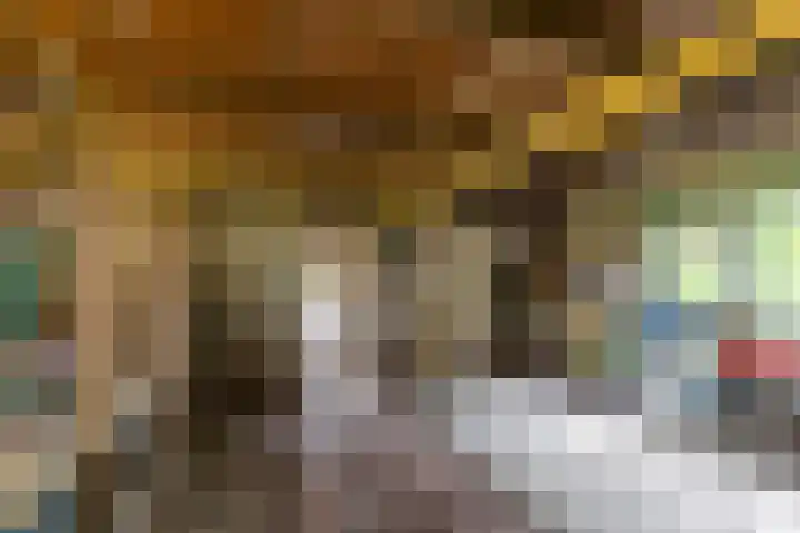 Halbe Wiersemaweg 6 Niebert thumbnail 52