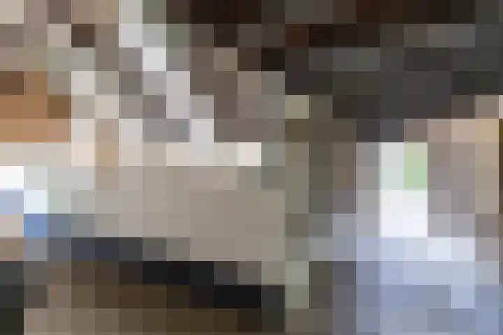 Halbe Wiersemaweg 6 Niebert thumbnail 56