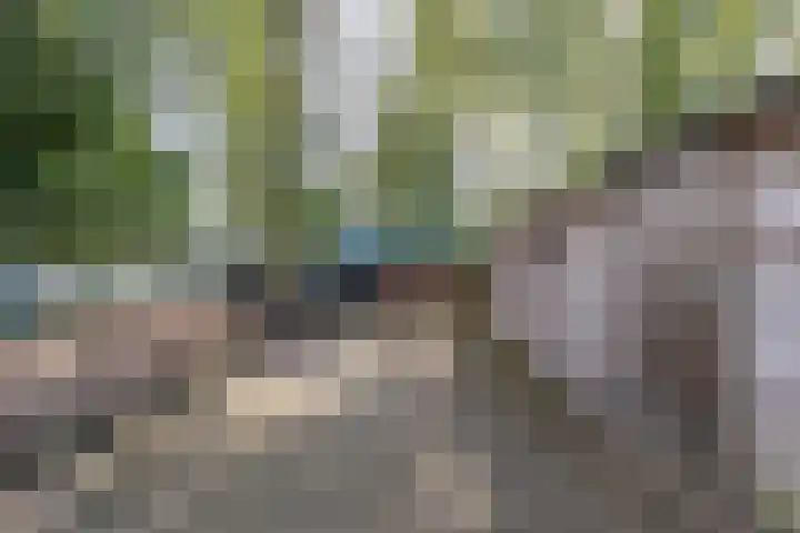 Halbe Wiersemaweg 6 Niebert thumbnail 59