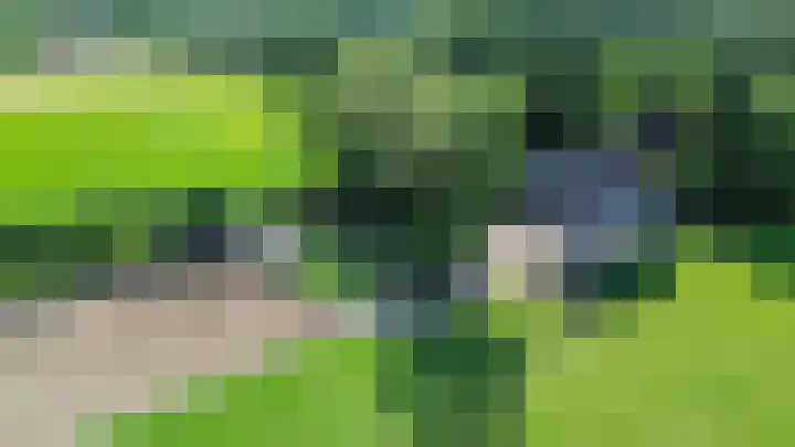 Halbe Wiersemaweg 6 Niebert thumbnail 6