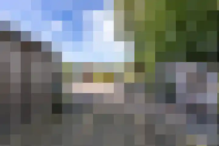 Halbe Wiersemaweg 6 Niebert thumbnail 60