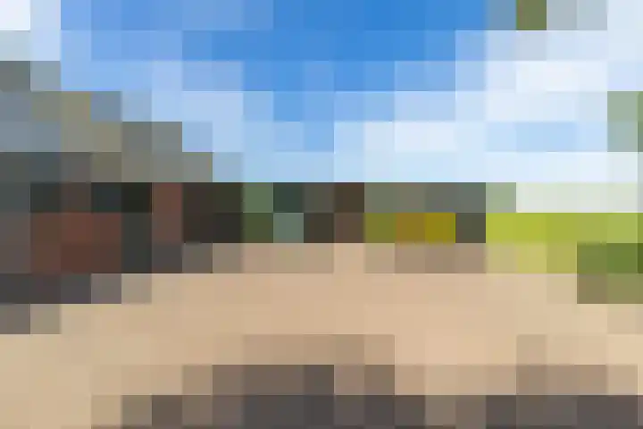Halbe Wiersemaweg 6 Niebert thumbnail 66