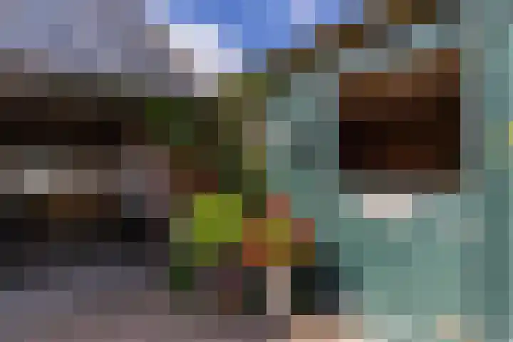 Halbe Wiersemaweg 6 Niebert thumbnail 68