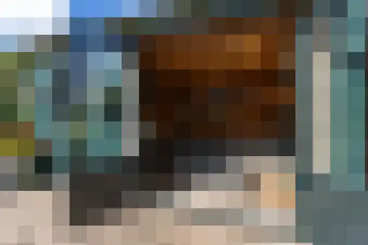 Halbe Wiersemaweg 6 Niebert thumbnail 69