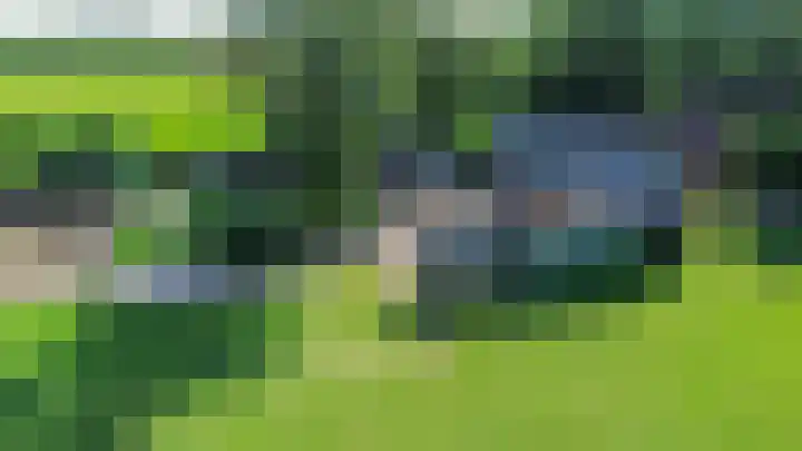 Halbe Wiersemaweg 6 Niebert thumbnail 7