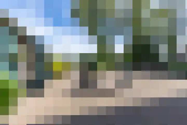 Halbe Wiersemaweg 6 Niebert thumbnail 73