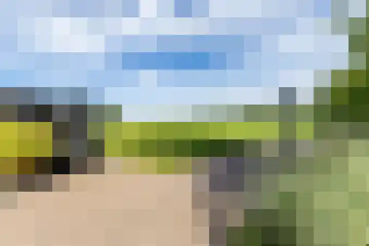 Halbe Wiersemaweg 6 Niebert thumbnail 74