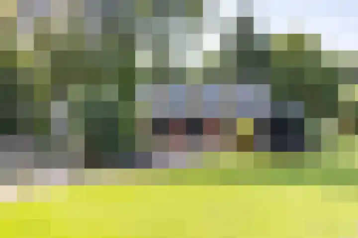 Halbe Wiersemaweg 6 Niebert thumbnail 75
