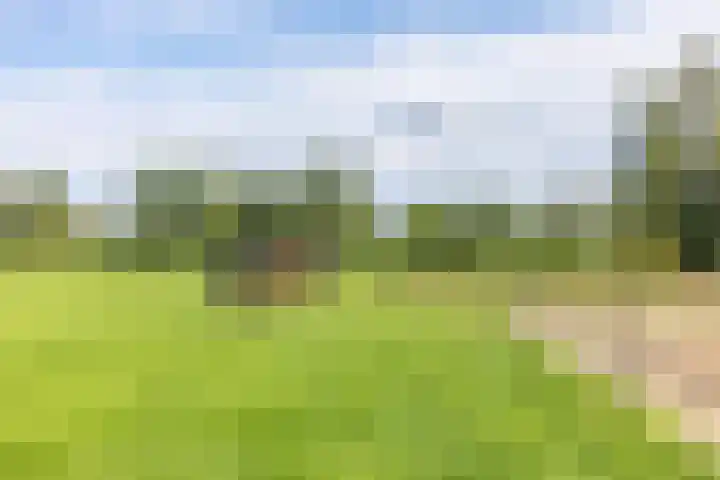 Halbe Wiersemaweg 6 Niebert thumbnail 76