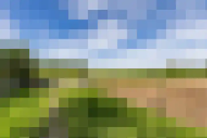 Halbe Wiersemaweg 6 Niebert thumbnail 77