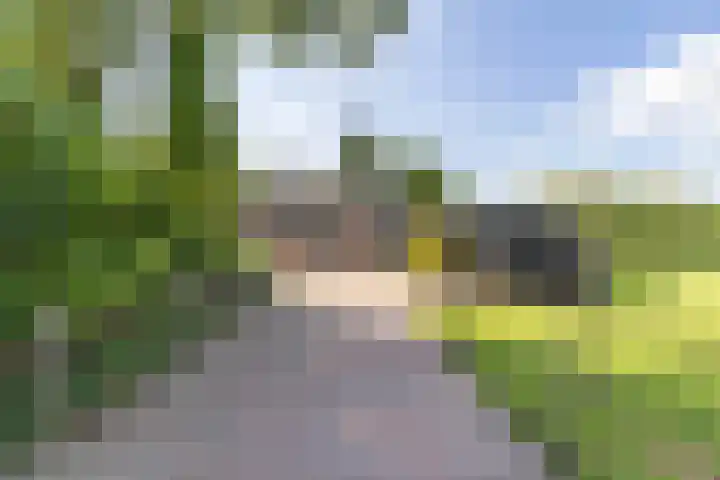Halbe Wiersemaweg 6 Niebert thumbnail 79