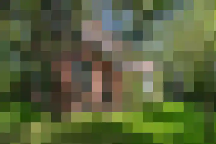 Halbe Wiersemaweg 6 Niebert thumbnail 8