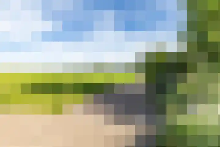 Halbe Wiersemaweg 6 Niebert thumbnail 80