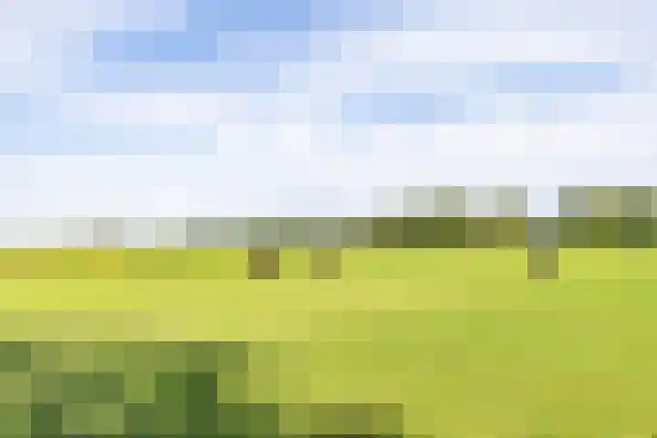 Halbe Wiersemaweg 6 Niebert thumbnail 81