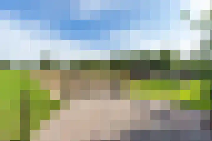Halbe Wiersemaweg 6 Niebert thumbnail 82