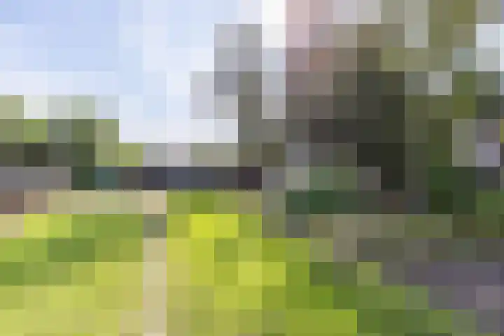 Halbe Wiersemaweg 6 Niebert thumbnail 83
