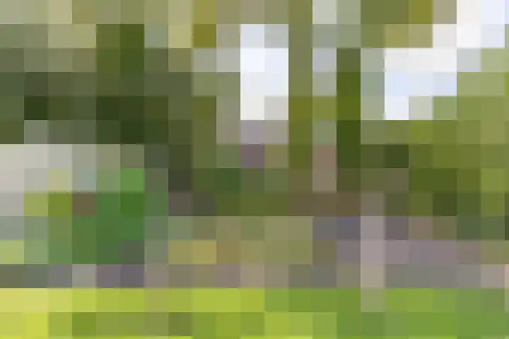 Halbe Wiersemaweg 6 Niebert thumbnail 84