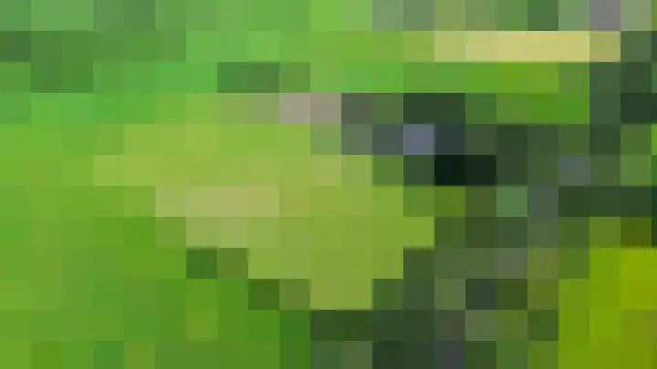Halbe Wiersemaweg 6 Niebert thumbnail 86