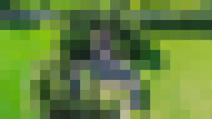 Halbe Wiersemaweg 6 Niebert thumbnail 88