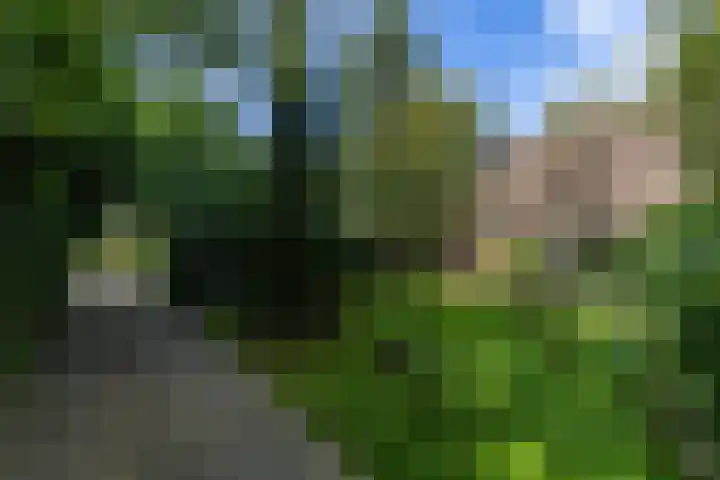 Halbe Wiersemaweg 6 Niebert thumbnail 9