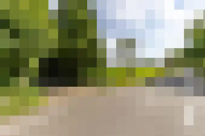 Halbe Wiersemaweg 6 Niebert thumbnail 91