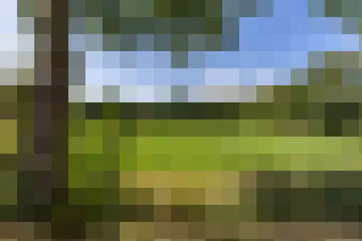 Halbe Wiersemaweg 6 Niebert thumbnail 92