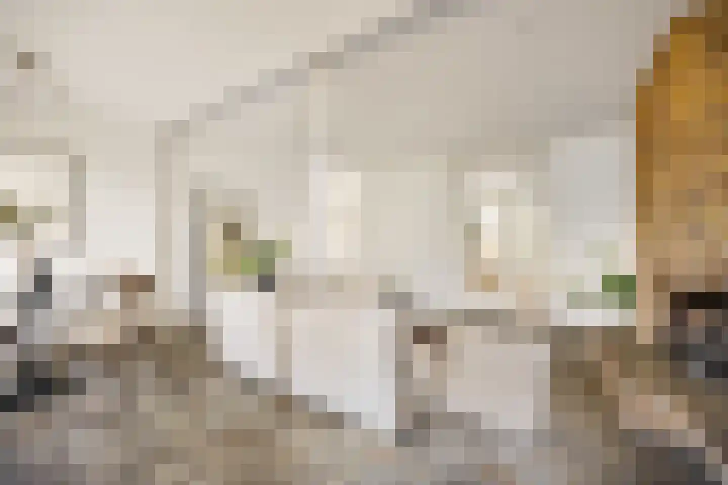 Halbertsmastraat 58 Haarlem thumbnail 10