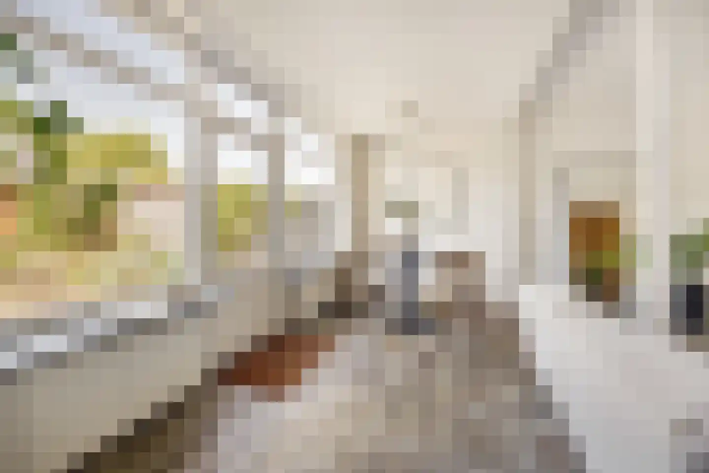 Halbertsmastraat 58 Haarlem thumbnail 11