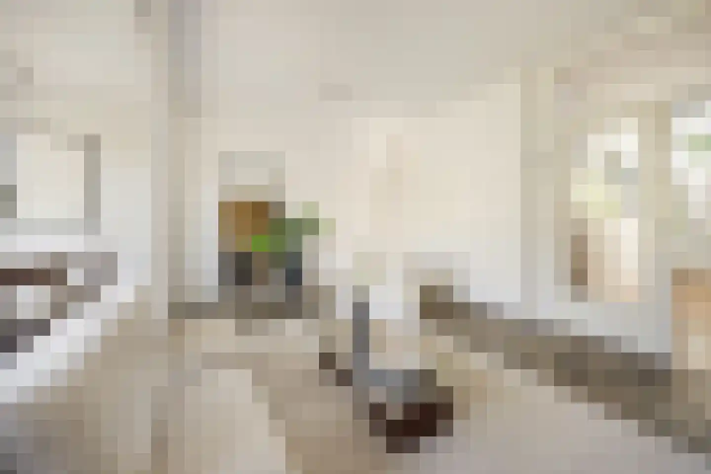 Halbertsmastraat 58 Haarlem thumbnail 9